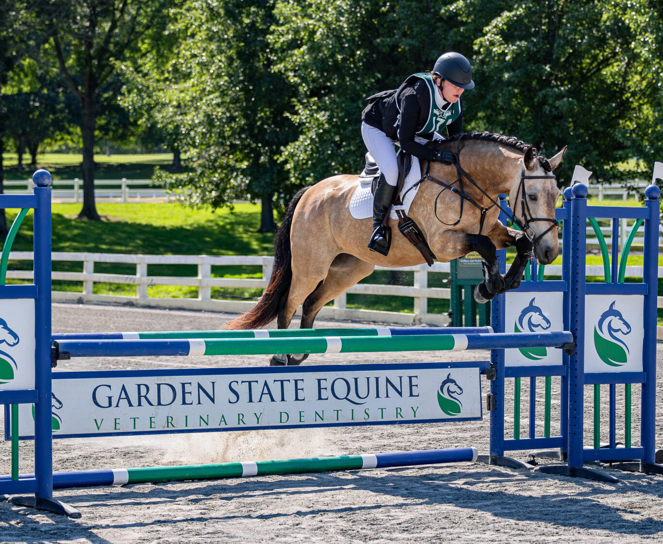 Caleb ridden by Dr. Amelie McAndrews, Jenna O'Connor Photography